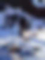 صورة مشترك يرغب بالتعارف و الزواج