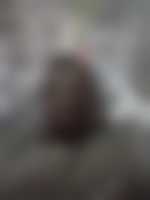 Marriage website Dating website