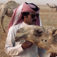 موقع زواج موقع تعارف